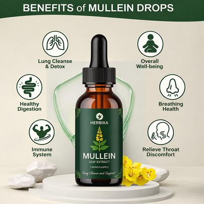 Organic Mullein & Chlorophyll Drops for Clear Breathing and Lung Support